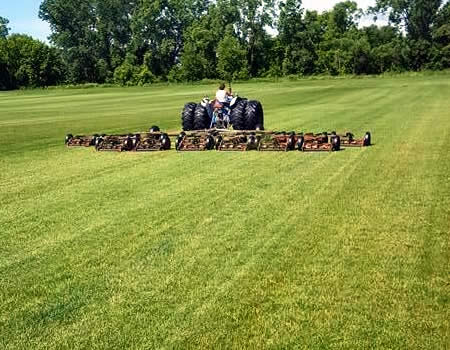 Benefits of Sod in Wisconsin