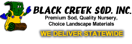 Black Creek Sod Wisconsin